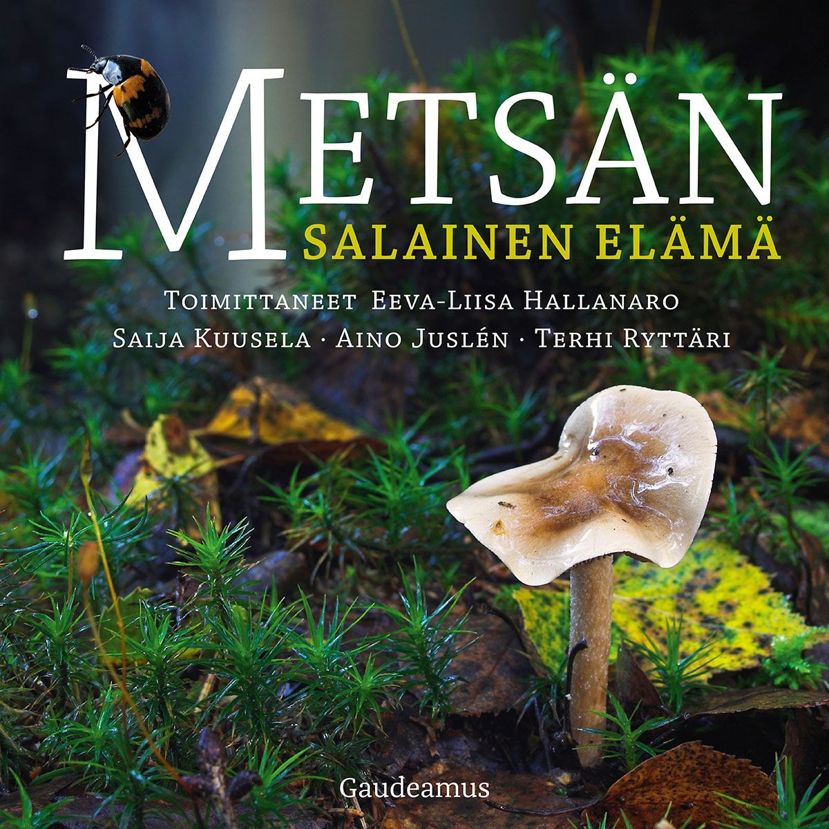 Metsän salainen elämä