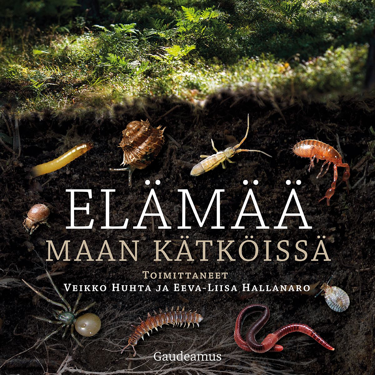 Elämää maan kätköissä